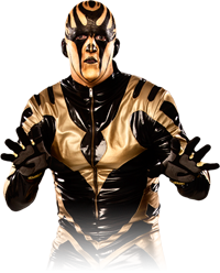 Custom Wrestler Picture:Goldust 1