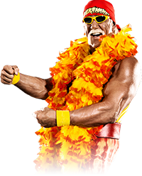 Custom Wrestler Picture:Hulk Hogan 2